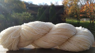 heritage-sheep-breeds
